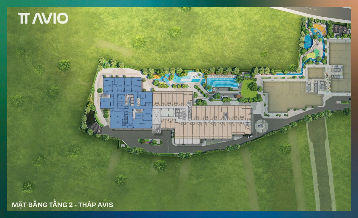 Mặt bằng dự án căn hộ chung cư TT AVIO